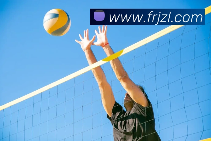 尊龙凯时APP 封面图